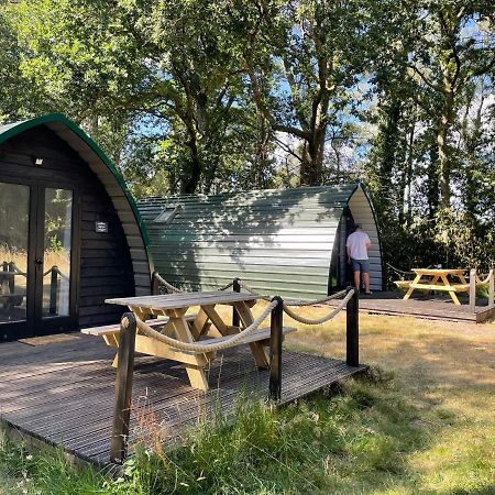 Nightjar Cabin At Cloudshill Glade Wareham Exterior photo