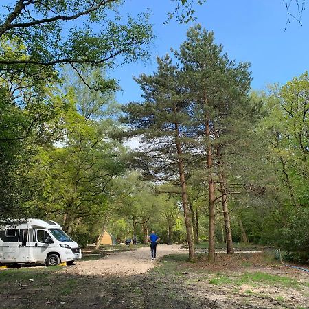 Nightjar Cabin At Cloudshill Glade Wareham Exterior photo