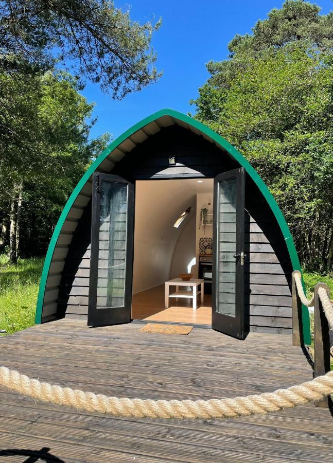 Nightjar Cabin At Cloudshill Glade Wareham Exterior photo