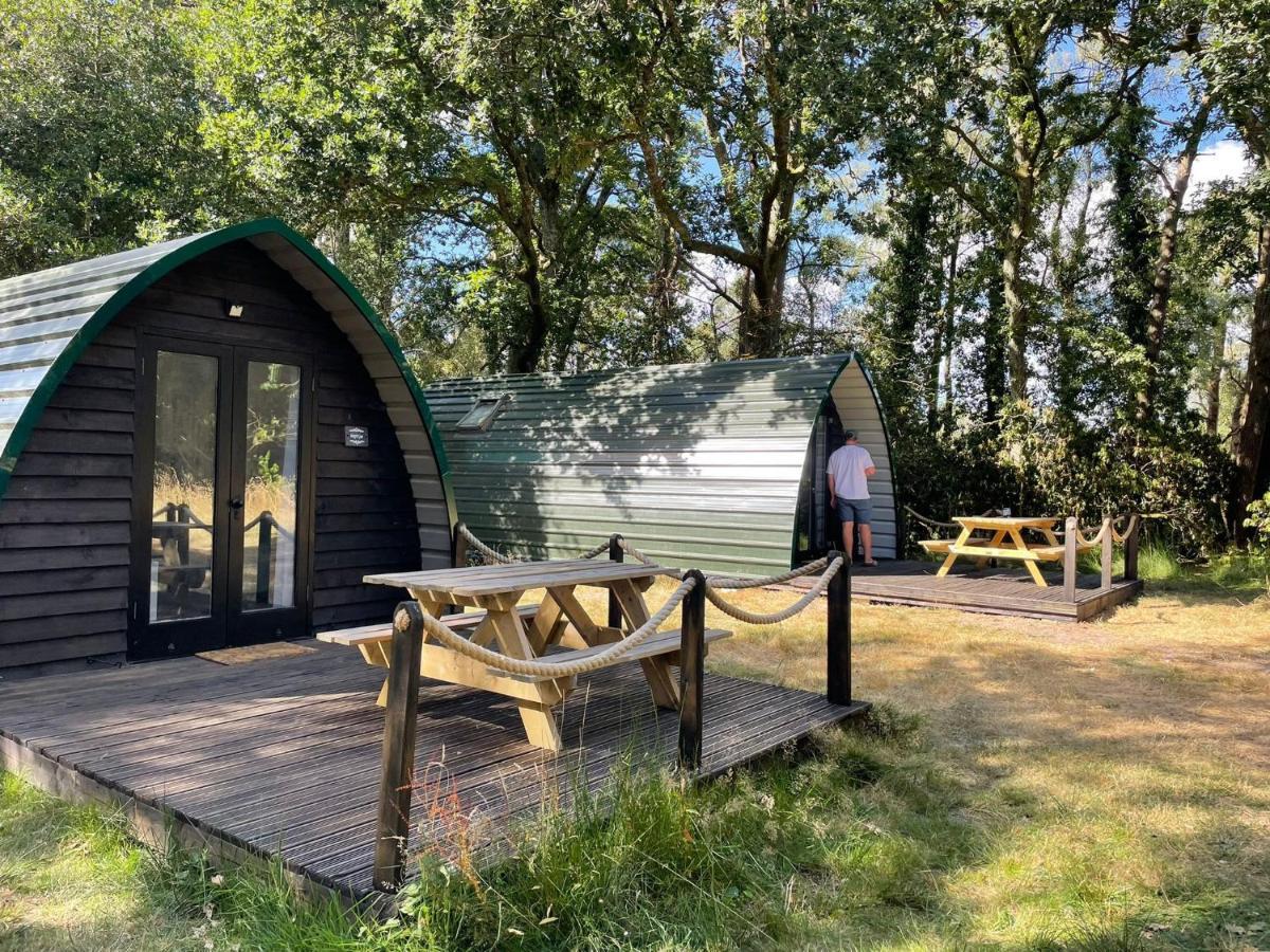 Nightjar Cabin At Cloudshill Glade Wareham Exterior photo
